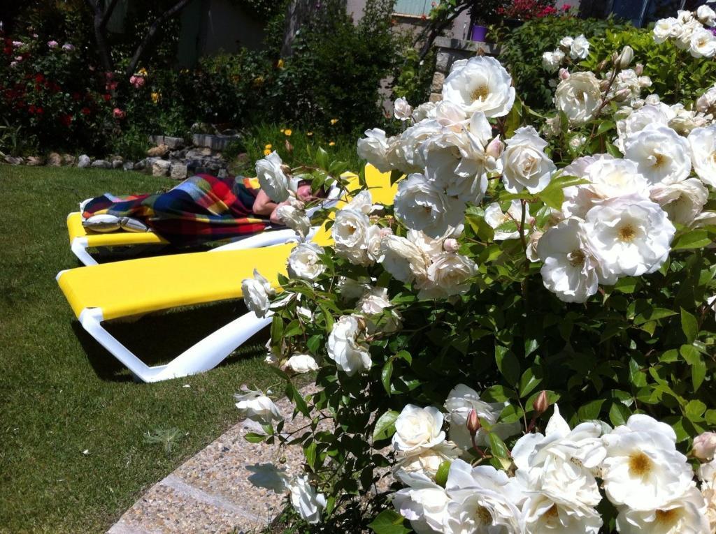 Bed and Breakfast Le Grand Jardin Lafare Zewnętrze zdjęcie
