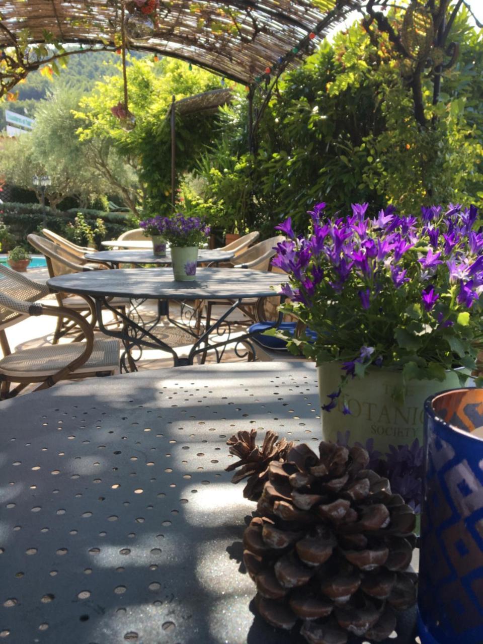Bed and Breakfast Le Grand Jardin Lafare Zewnętrze zdjęcie